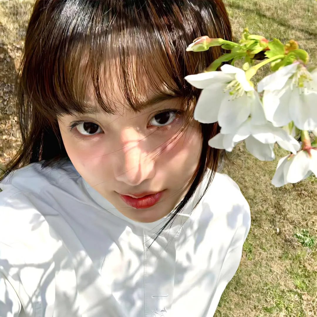 野兽与美女